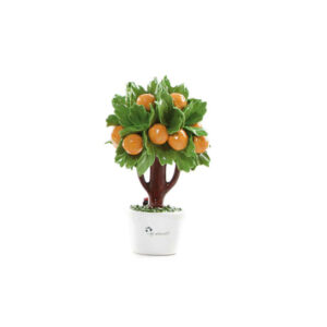 GLI ALBERELLI – Alberello Arancio