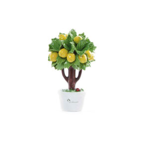 GLI ALBERELLI – Alberello Limone